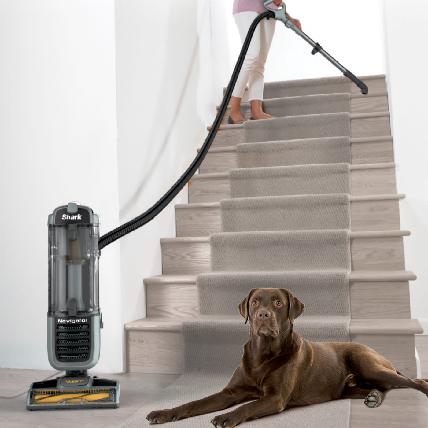 ZU62C Shark® Navigator® SelfCleaning Brushroll Pet Upright Vacuum Shark